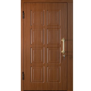 Тамбурная дверь Б-250
