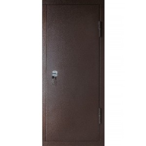 Дверь Т-1313