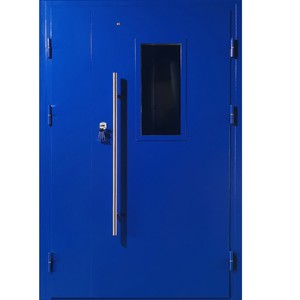 Тамбурная дверь Б-173